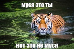 Интересно, зачем это...