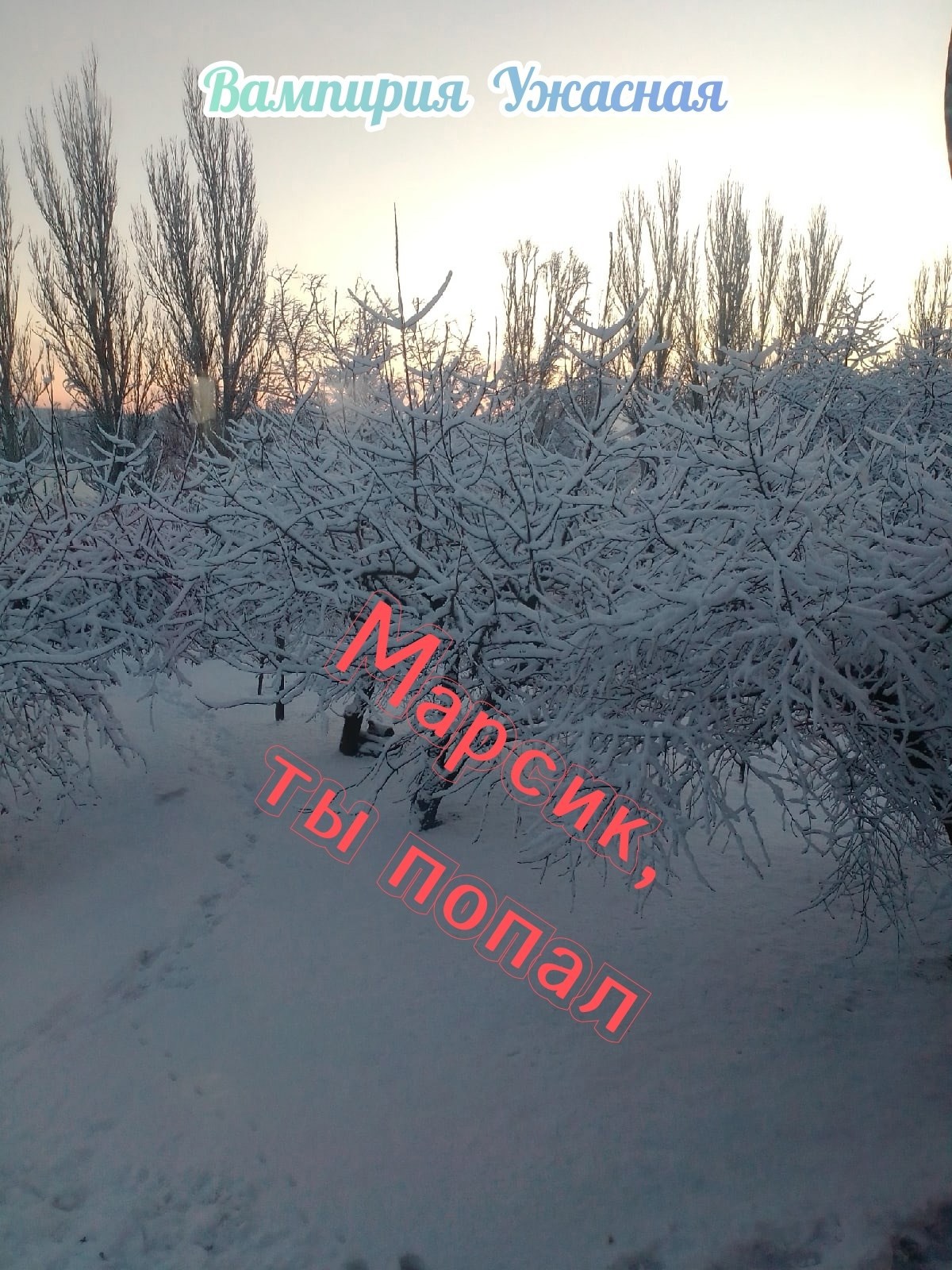 Обложка книги «Марсик, ты попал»
