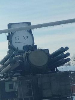 Панцирь грустный ...