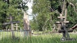 Обложка произведения Поэзия старого кладбища