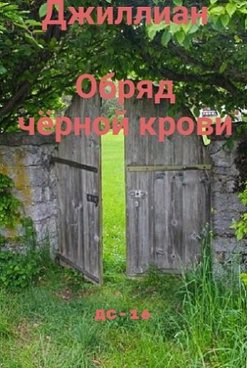 Обложка книги «Обряд чёрной крови. ДС-16.»