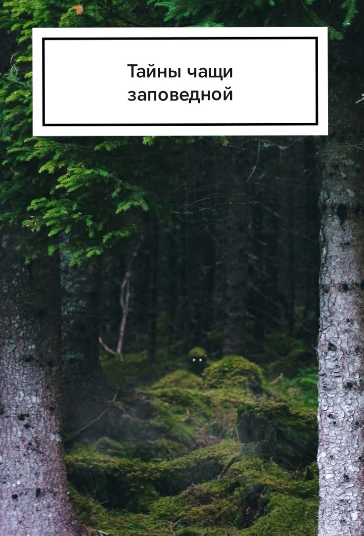 Обложка книги «Тайны чащи заповедной»