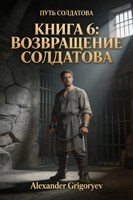 Обложка произведения Возвращение Солдатова, книга 6