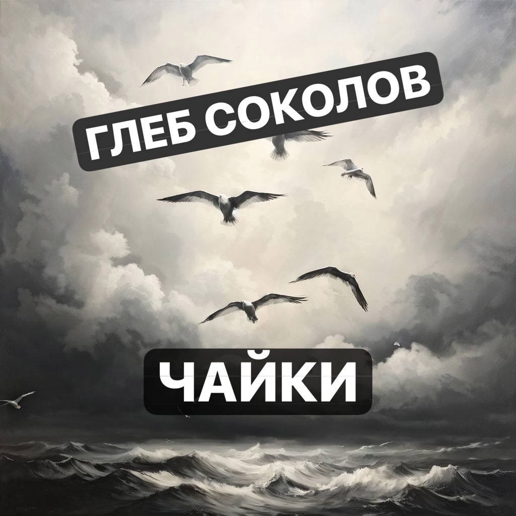 Обложка книги «"Чайки"»