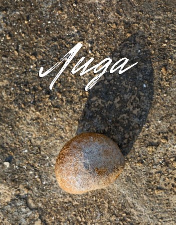 Обложка книги «Лида»