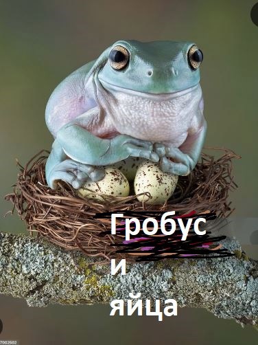 Обложка книги «Гробус и яйца»