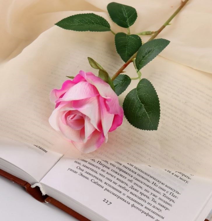 Обложка книги «Проза и роза»
