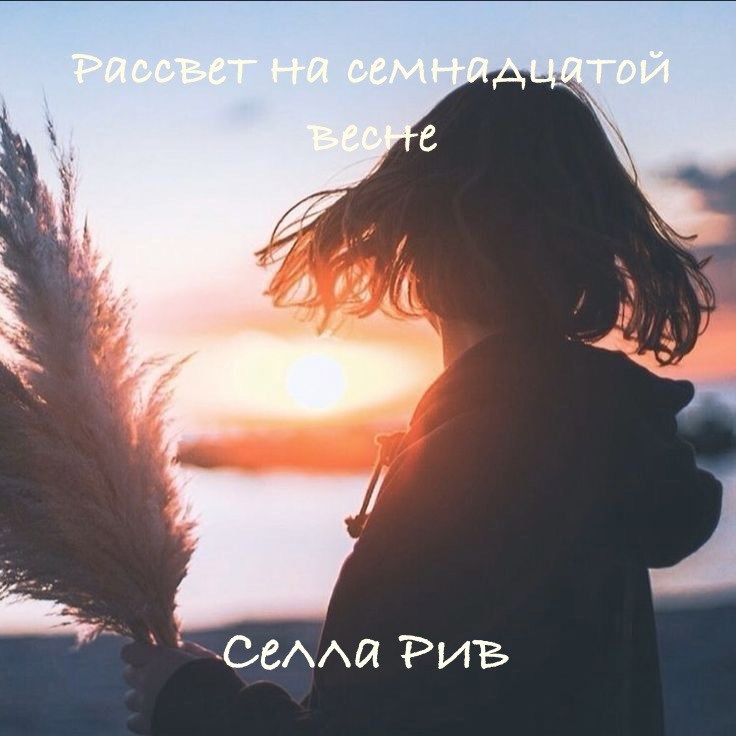 Обложка книги «Рассвет на семнадцатой весне»