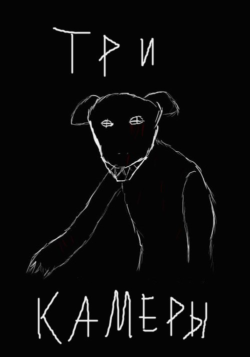 Обложка книги «Три камеры»
