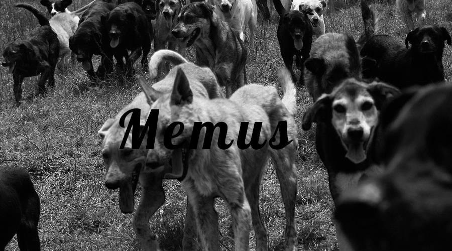 Обложка книги «Отрывок из главы 'Метис"»