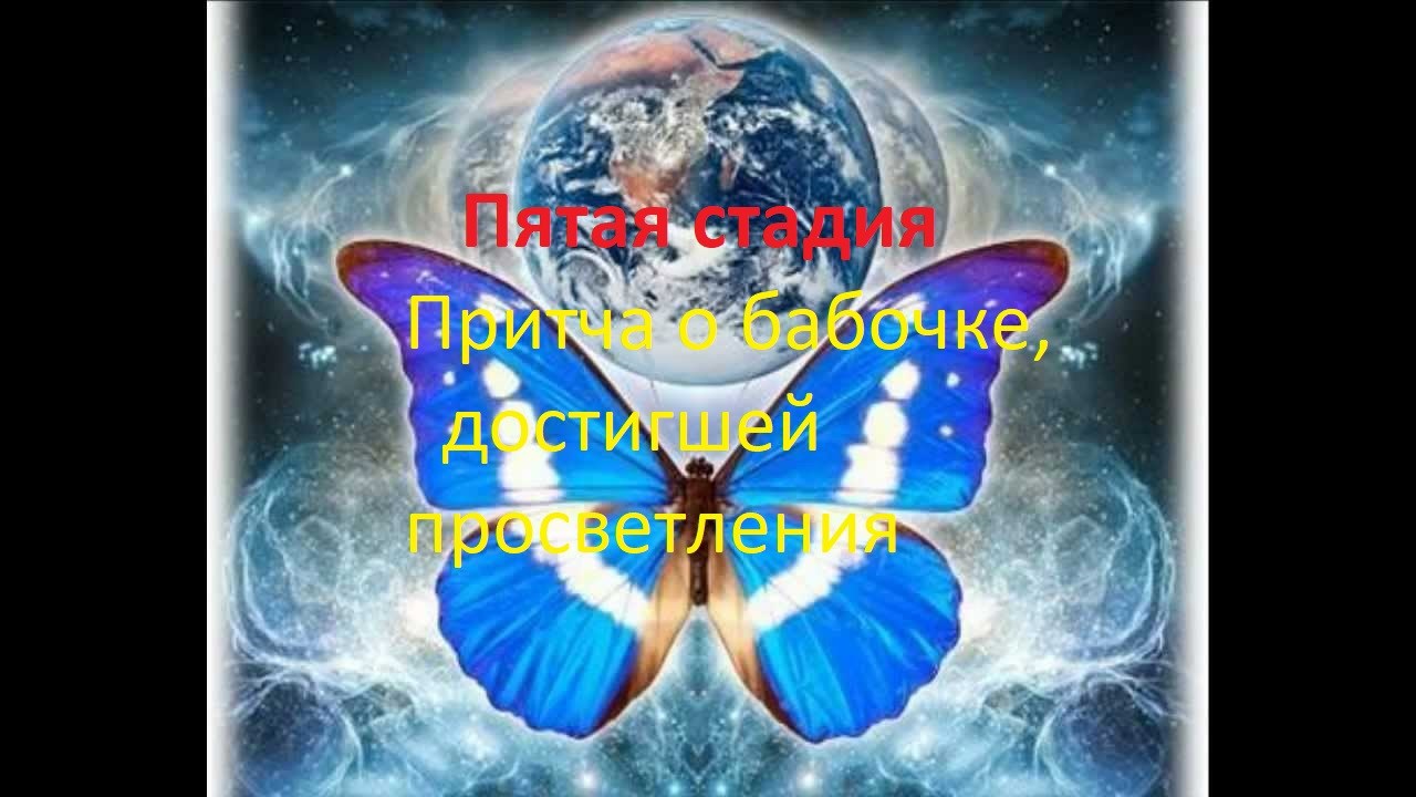 Обложка книги «Пятая стадия»