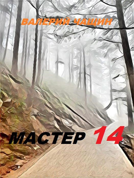 Обложка книги «Мастер 14»