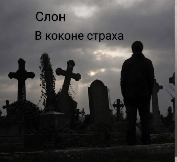 Обложка книги «В коконе страха»