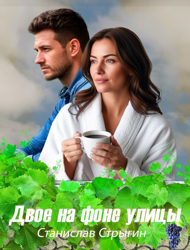 Обложка книги «Двое на фоне улицы»
