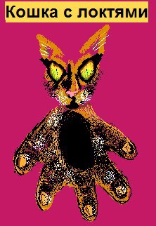 Обложка книги «Кошка с локтями»