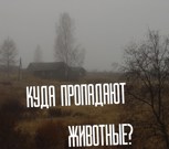 Обложка произведения Куда пропадают животные?