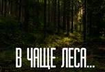 Обложка произведения В чаще леса
