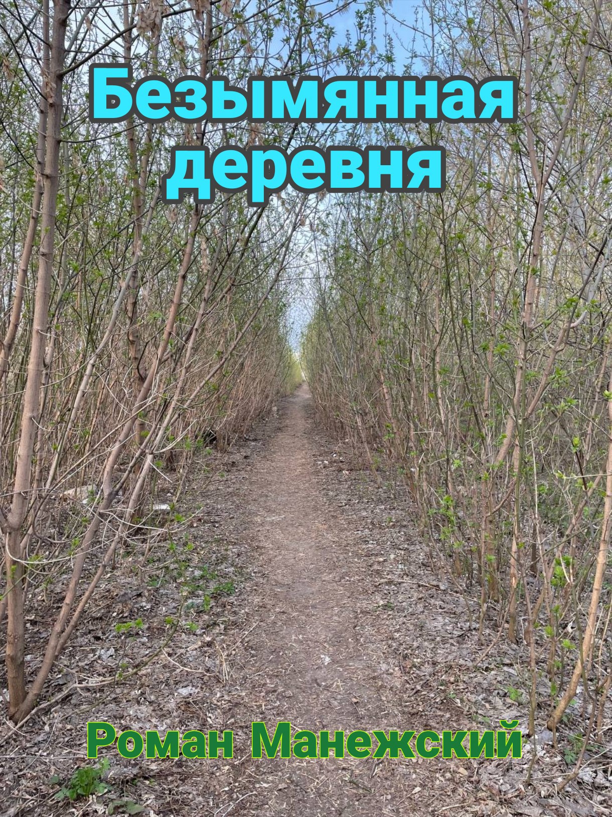 Обложка книги «Безымянная деревня»