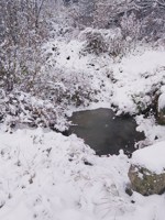 Обложка произведения День перевернувший всё