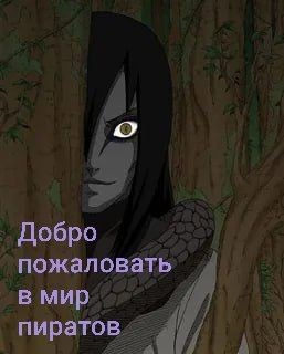 Обложка книги «Добро пожаловать в мир пиратов»