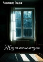 Обложка произведения Жизнь после жизни.
