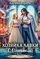 Обложка произведения Хозяйка лавки "С огоньком"