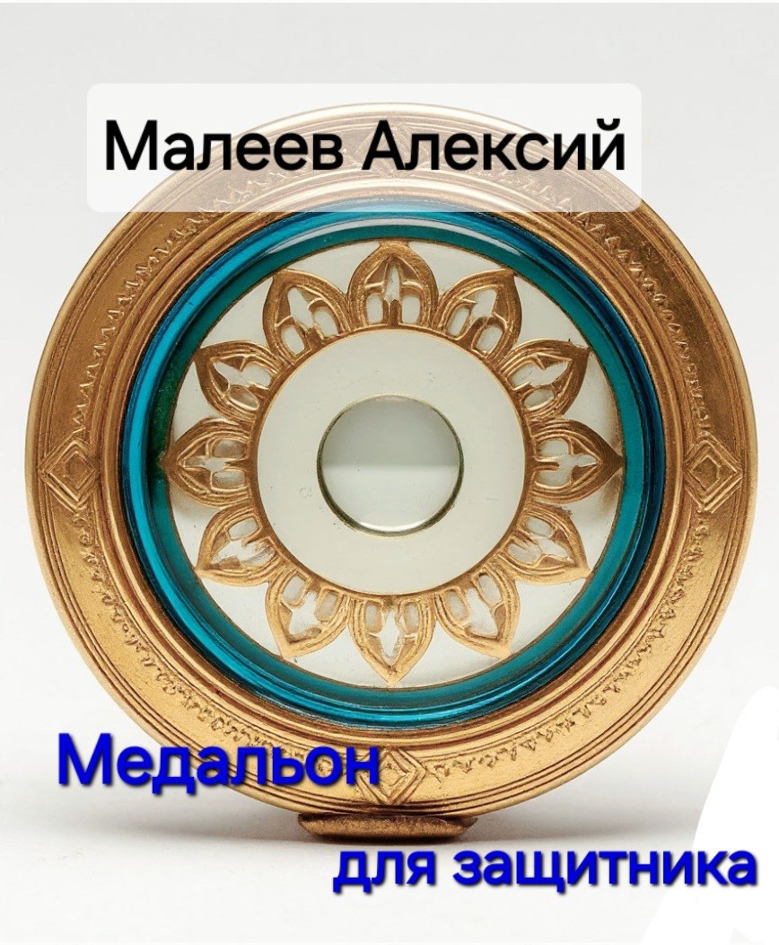 Обложка книги «Медальон для защитника»