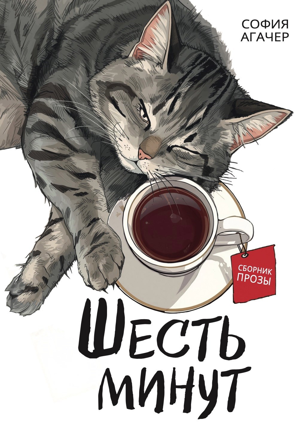 Обложка книги «Шесть минут»