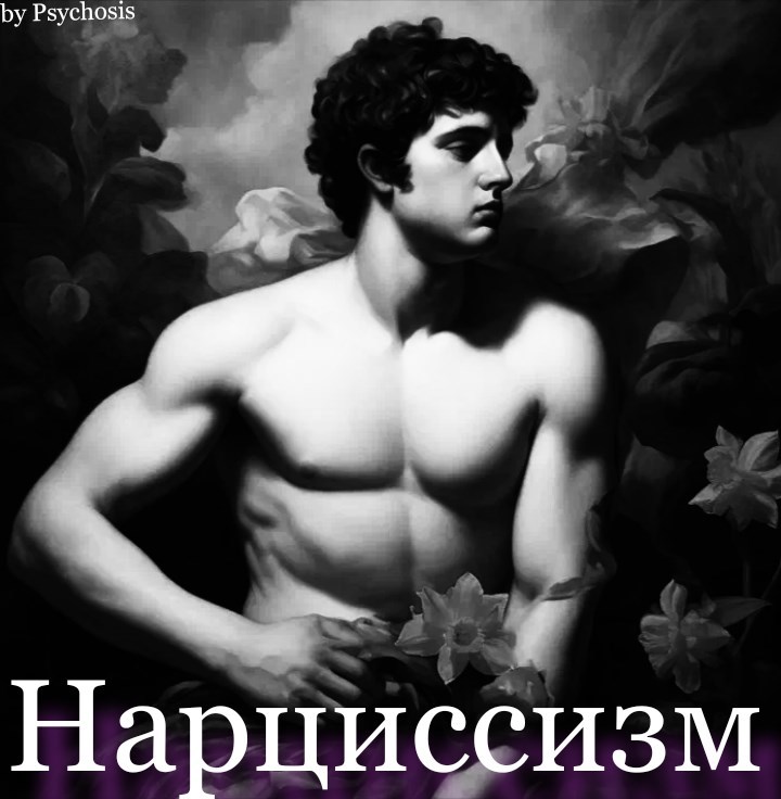 Обложка книги «Нарциссизм — Нарциссическое Расстройство Личности»