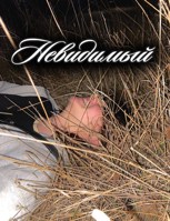 Обложка произведения Невидимый