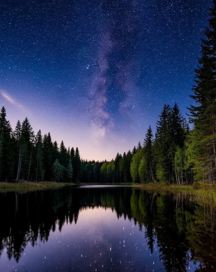 Обложка книги «Счастливый летний день»