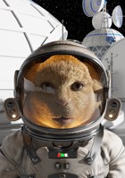 Обложка произведения Зверокосмос