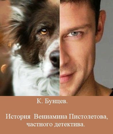 Обложка книги «История Вениамина Пистолетова, частного детектива»