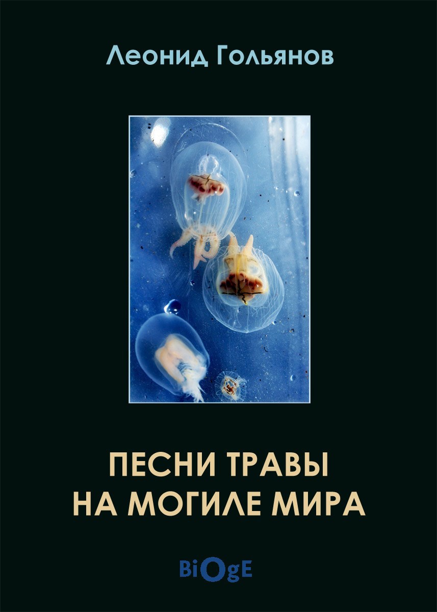 Обложка книги «Песни травы на могиле мира»