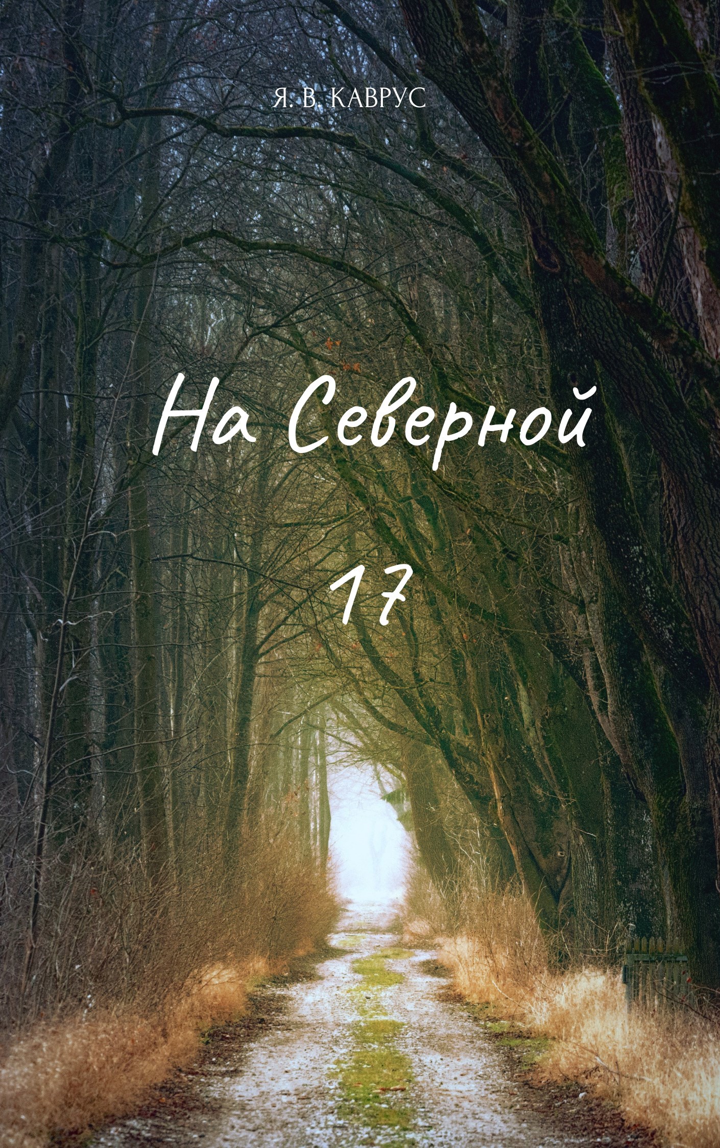 Обложка книги «На Северной 17»