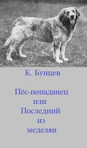 Обложка книги «Пёс-попаданец, или Последний из меделян»