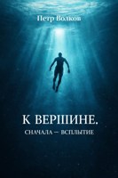 Обложка произведения К ВЕРШИНЕ, сначала - всплытие