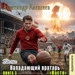 Обложка произведения Нападающий вратарь. Книга третья. Настя.
