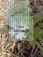 Обложка произведения Просто встретились...