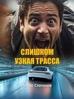 Обложка произведения Слишком узкая трасса