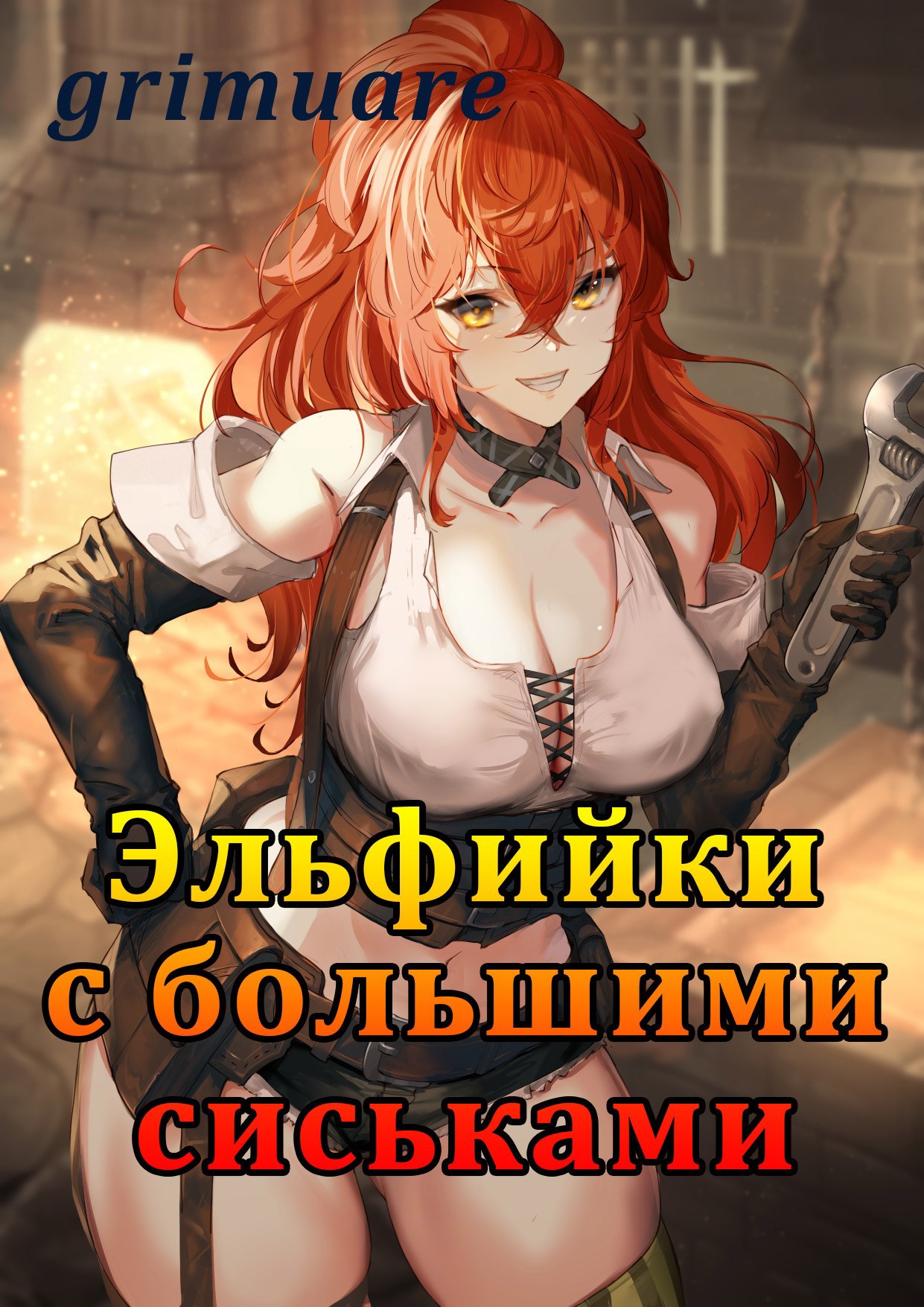 Обложка книги «Эльфийки с большими сиськами»