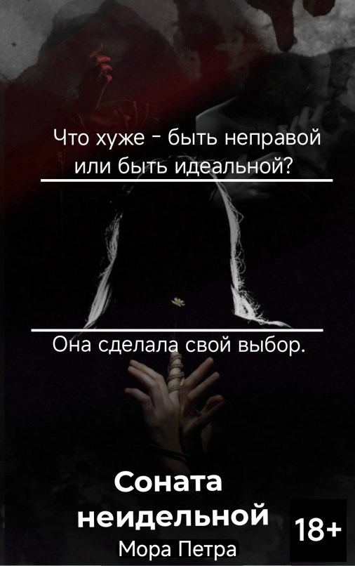 Обложка книги «Соната неидеальной»