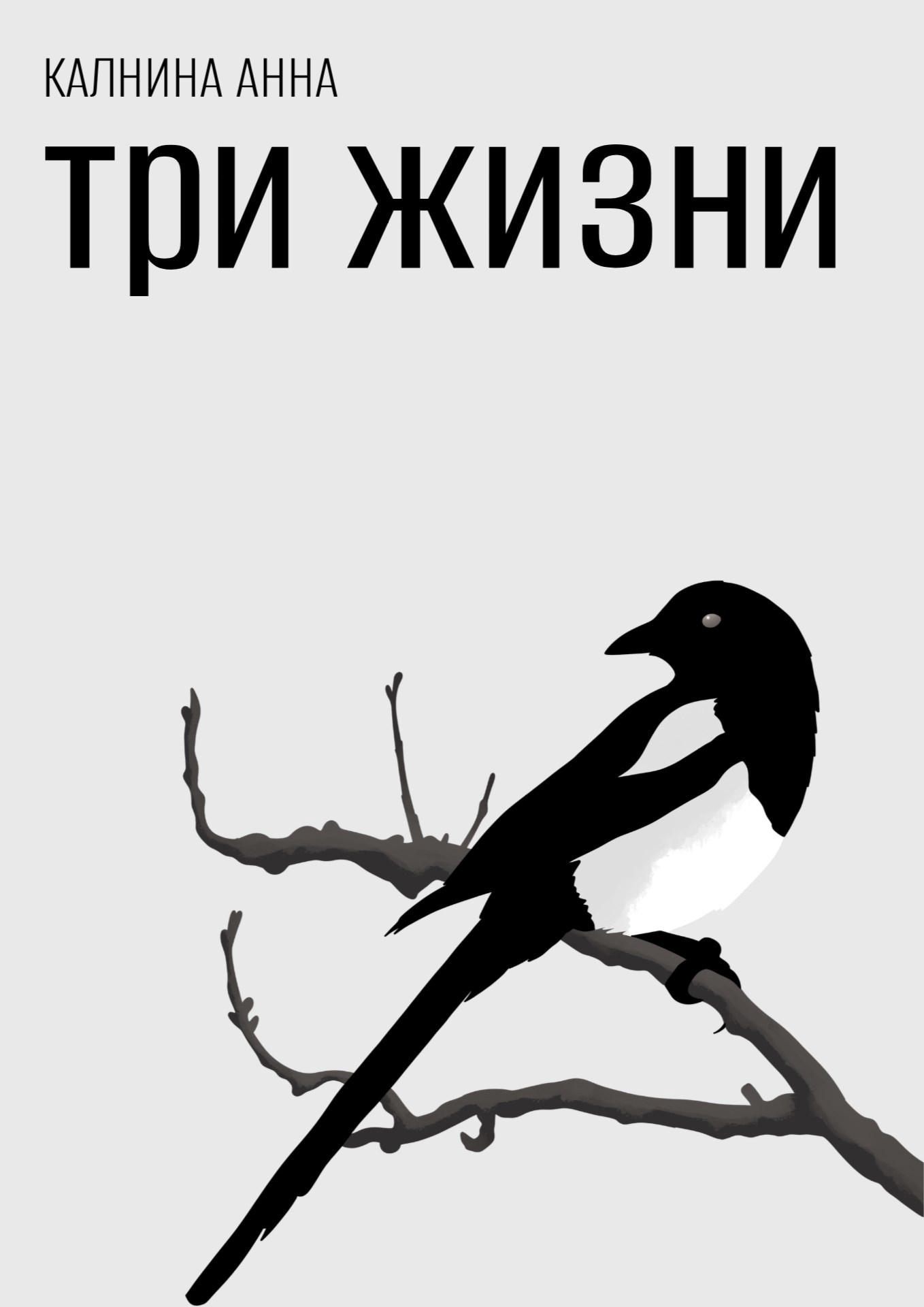 Обложка книги «Три жизни»