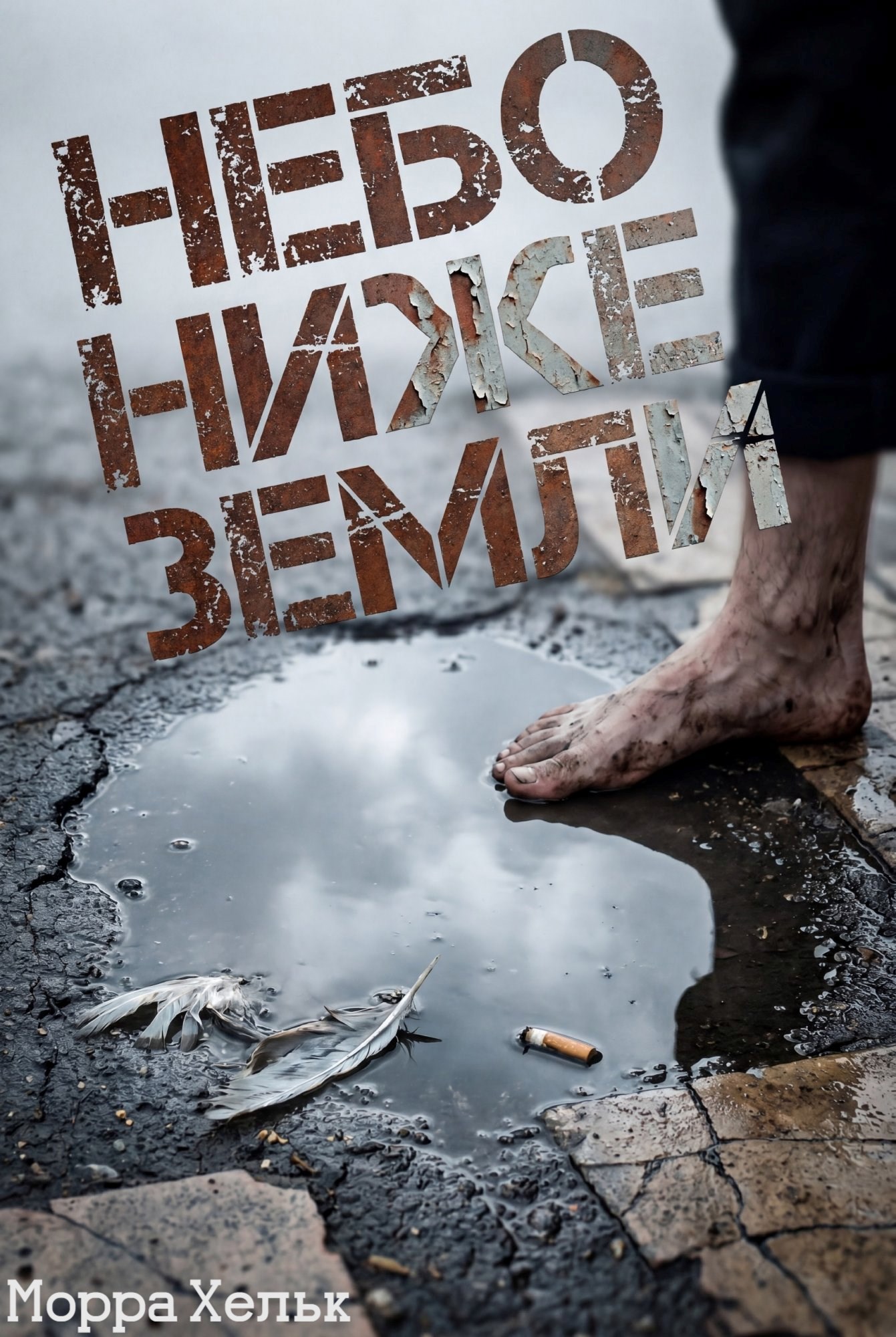 Обложка книги «Небо ниже земли»