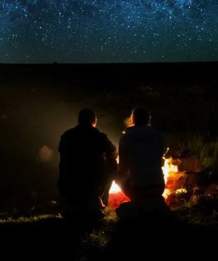 Обложка книги «Силь ву пле»