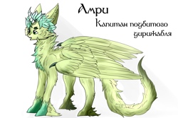 Амри от https://vk...