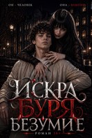 Обложка произведения Искра. Буря. Безумие