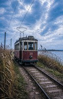 Обложка произведения Желудочный сок