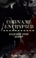 Обложка произведения Кодовое имя: шифр