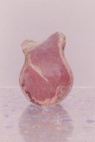 Обложка произведения After the Soy Steak